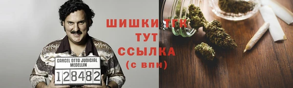 PSILOCYBIN Заволжск