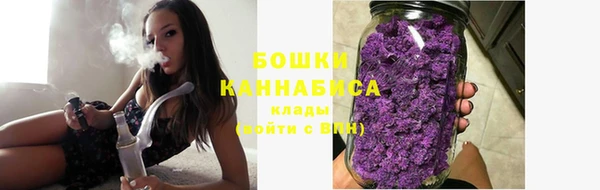 PSILOCYBIN Заволжск