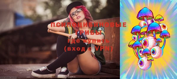 PSILOCYBIN Заволжск
